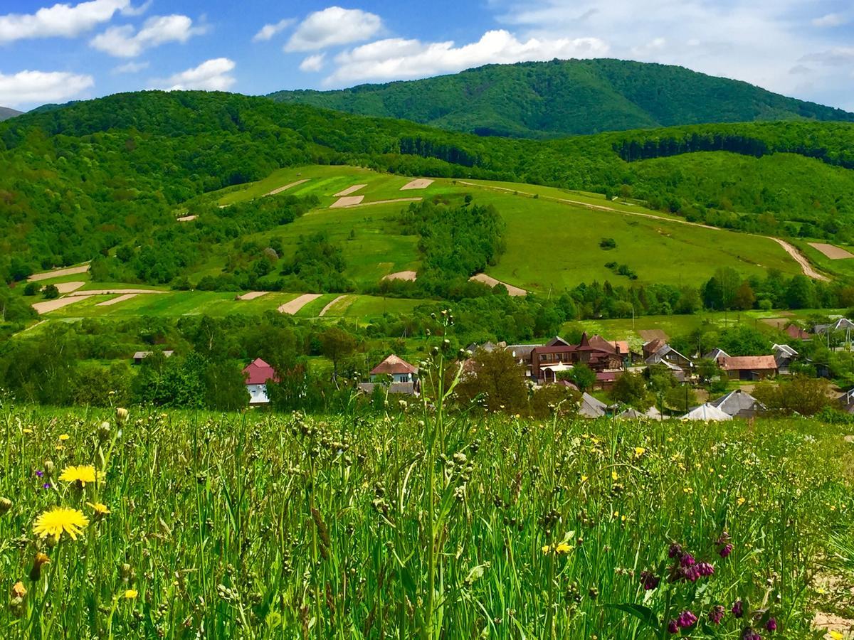 Minihotel Zolotoe Runo Ploskoye エクステリア 写真